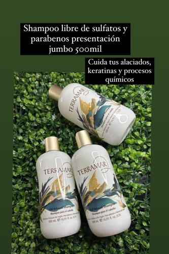 Shampoo Jumbo Terramar Y Mascarilla Intensiva De Cabello
