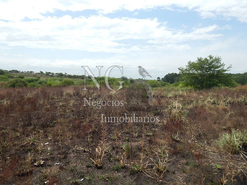 Imagen 10 de 14 de 3 Padrones De Campo Para Inversión!