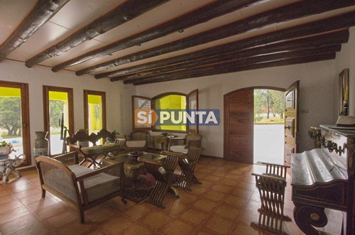 Imagen 5 de 30 de Chacra En Venta - Camino Cerro Eguzquiza