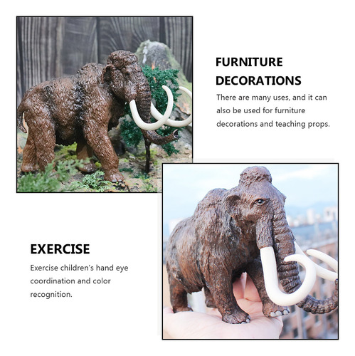 Juguete Educativo De Escritorio Con Maqueta De Animal Para N