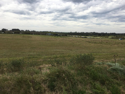 Campo Montevideo Rural