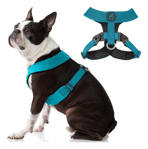 Gooby Comfort X Harness Dual Snap - Turquesa, Grande - Arnés