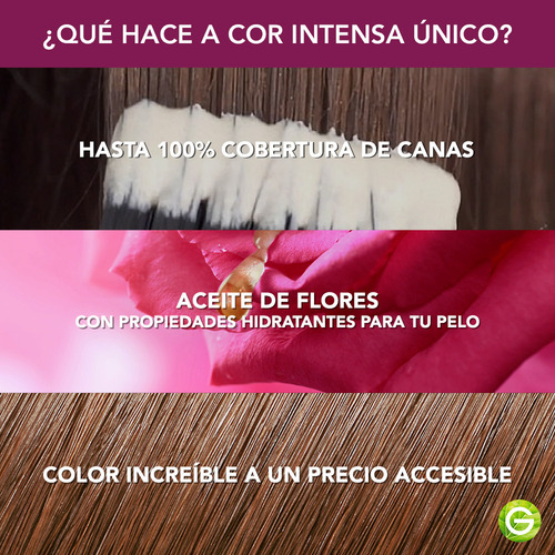 Garnier Cor Intensa Tintura Tono 7.0 Rubio