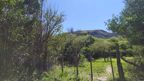 4 Hectareas Villa Elena Cortaderas San Luis Venta