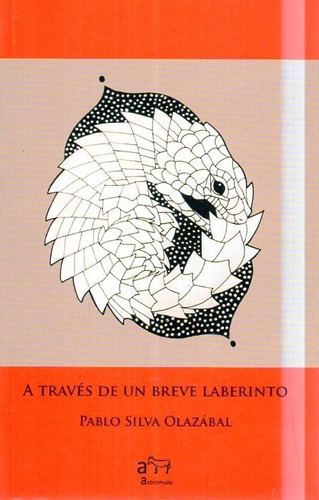 A Traves De Un Breve Laberinto Pablo Silva Olazabal