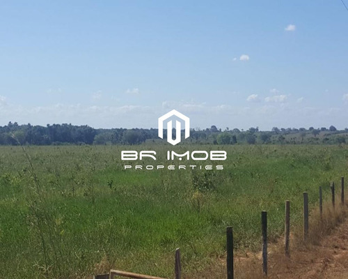 Imagem 7 de 12 de Fazenda - Fa00004 - 70538214