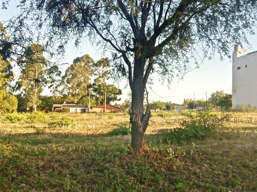 Imagen 3 de 12 de Oportunidad !!! Terreno Lote Para Casa Cabañas Colón E Rios