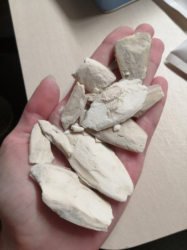 Imagen 3 de 6 de Calcio Dehuesos Rotos De Jibia Para Roedores Y Aves 30g