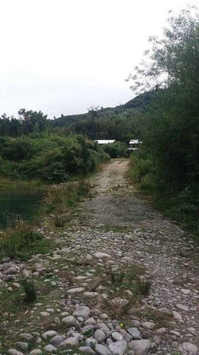 Imagen 5 de 12 de Vendo Parcela De 7.700 Mts, A Orilla Del Rio Puelo