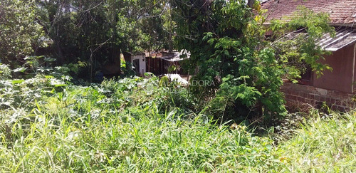 Imagem 4 de 9 de Terreno - Camaqua - Ref: 328307 - V-328307
