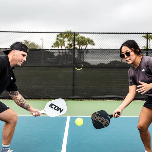 Diadem Icon V2 Pickleball Paddle | Aprobado Por Usapa | Pale