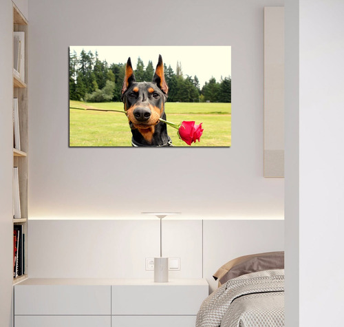 Cuadro 60x90cm Doberman Rosa Roja Perro Animales Dog Pet