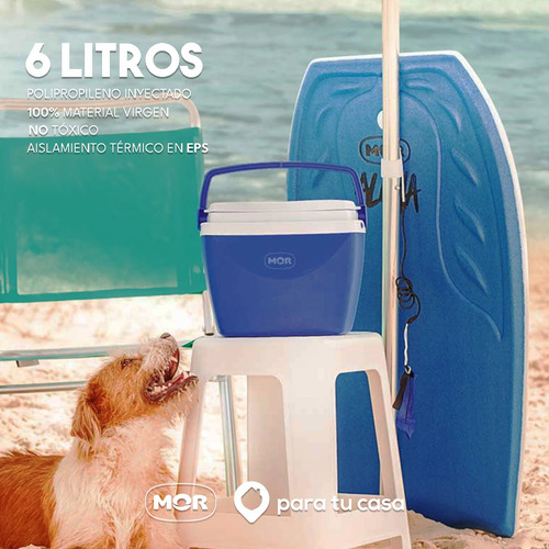 Imagen 7 de 10 de Lunchera Heladerita Conservadora Camping Escolar 6 L Mor Ct