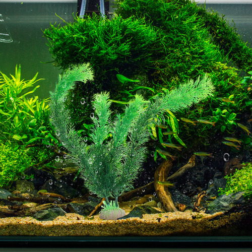 Pecera De 30 Cm, De Plástico Verde, Plantas Artificiales Par