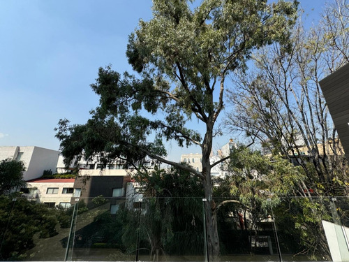 Penthouse En Renta/venta Polanco