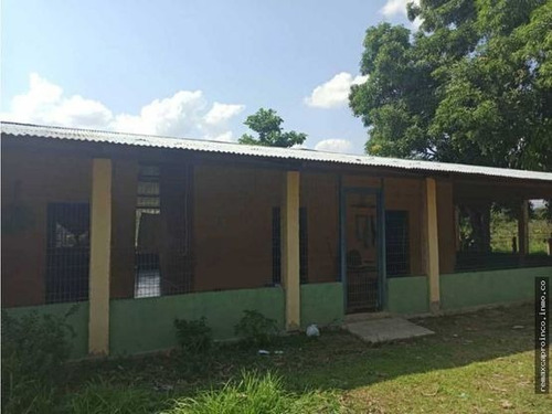 Imagen 4 de 14 de Productiva Finca En Elorza Apure, Acepta Criptomoneda
