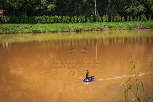 Imagem 9 de 10 de Terrenos - Ref: V5803
