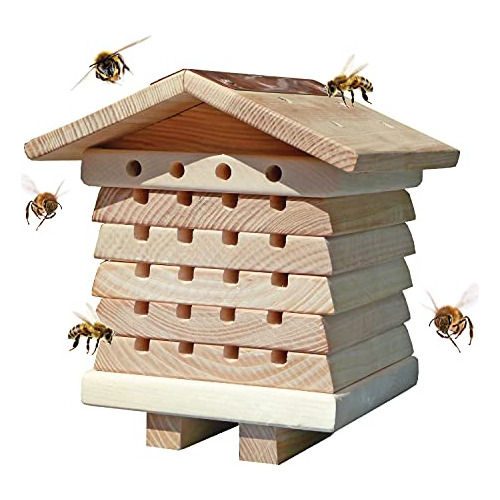 Wildlife World Bee House De Madera Interactiva Sistema ...