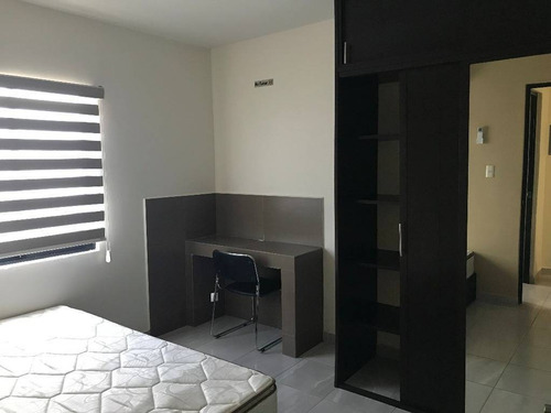Imagen 11 de 23 de Se Renta Departamento Nuevo Amueblado En Col. Centro.