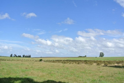 Campo En Venta