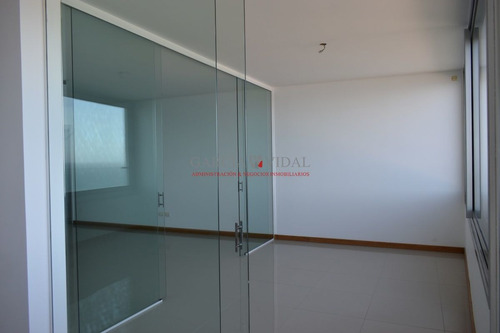 Imagen 14 de 25 de Venta 3 Dormitorios Departamento Tiburón 3 - Playa Brava