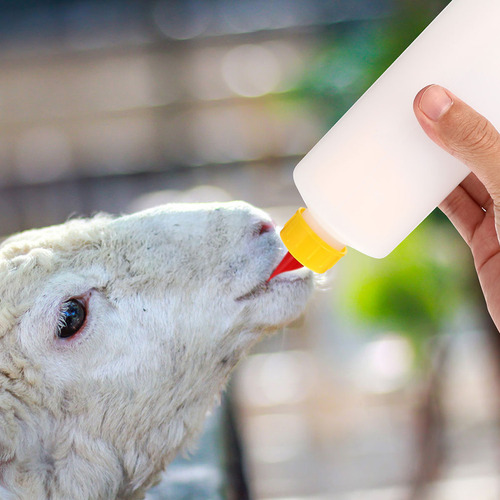 2 Juegos De Biberones Para Terneros De Cabra, Leche Para Ani
