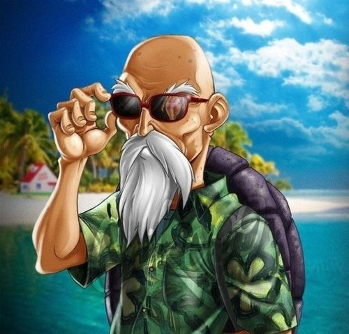 Figura Dragon Ball Z Maestro Roshi Kamesennin 18 Cm