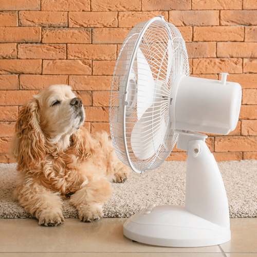 2 Pack Ventilador De Escritorio Abanico De Mesa Oscilatorio