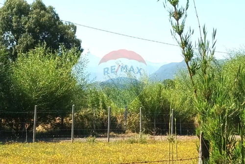 Venta Parcela De Campo Catripulli, Curarrehue