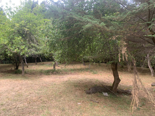 Parcela De 7.500 Mt2 En Sector Puninque