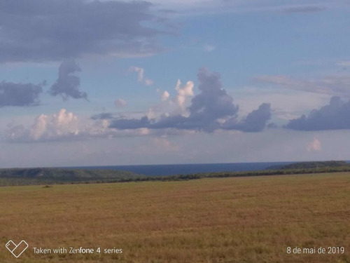 Imagem 4 de 9 de Fazenda À Venda 2 Bilhoes De Reais