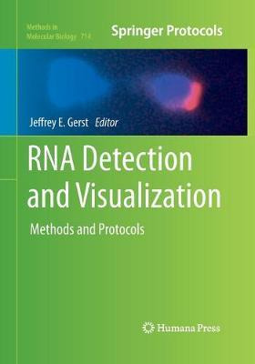 Libro Rna Detection And Visualization : Methods And Proto...