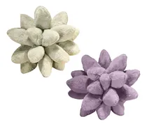 Comprar 2 Piezas Hermosos Cojines Suculentos Cojines Plantas Para