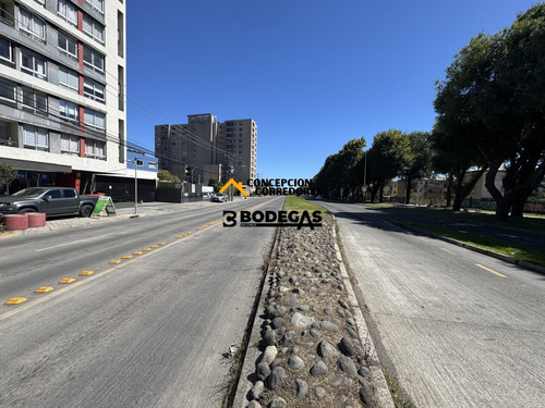 Bodega De Uso Comercial