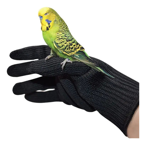 10 Guantes Antimordeduras For Loros Adiestramiento Masticar