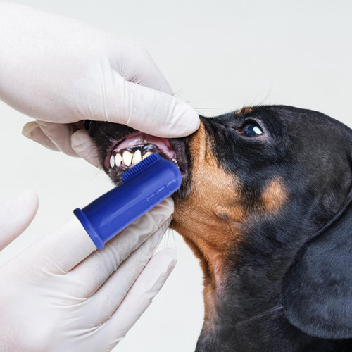 Cepillo De Dientes Para Perros Cepillo De Dientes Para Perro