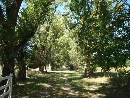 Oportunidad-lote En Barrio Privado Matisse!!!!