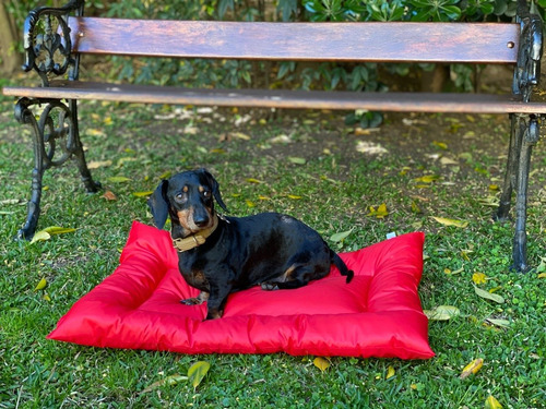 Imagen 2 de 6 de Cama Para Perro O Gato Lola Pets Tapiz Antidesgarro Chico