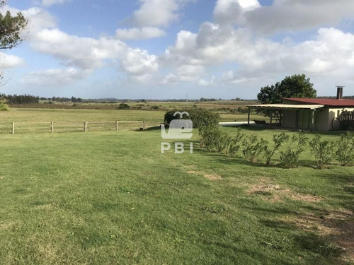 Imagen 19 de 29 de Chacra En Venta Las Vertientes 2 Dormitorios - Ref : Pbi106 - San Carlos Camino De Los Ceibos