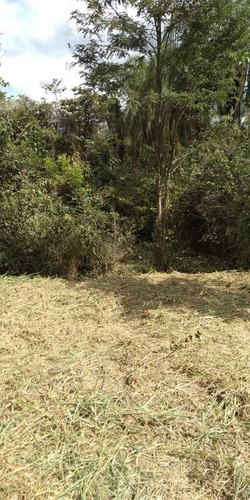 Chácara Muito Linda, Arborizada.