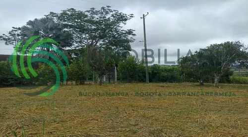 Lote En Venta En Vereda Palonegro. Cod V61527