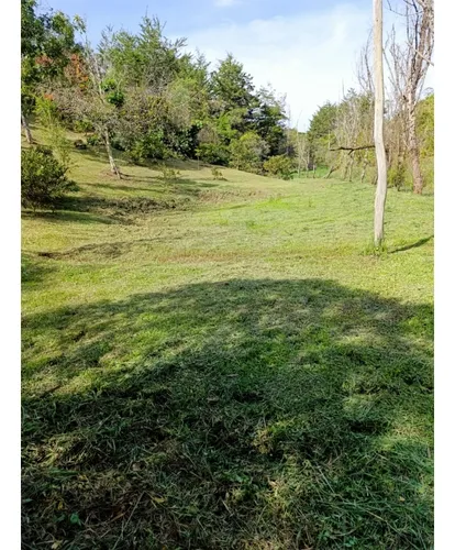 Lote Sector Las Cuchillas, Rionegro