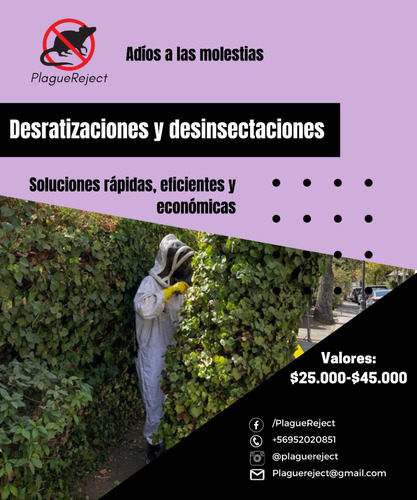 Desratizacion Y Desinsectación