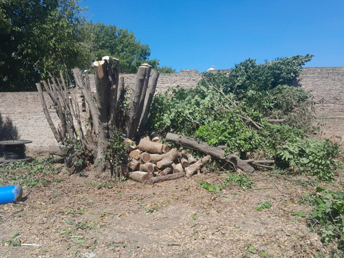 Poda De Árboles - Extracciones - Desmalezados
