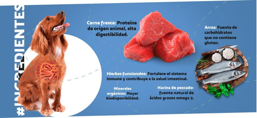 Alimento Carne Fresca Puppy Care Para Perro Cachorro Sabor Mix En Bolsa De 15 Kg