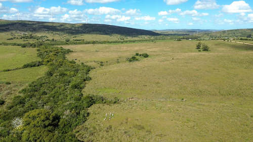 Chacras En Venta Con Arroyo A 40 Minutos De Maldonado (ref: Bpv-10409)