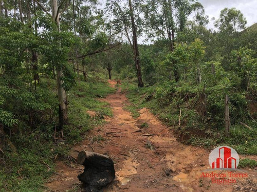 Imagem 6 de 15 de Ótimo Sitio Em Lagoinha ! - Si0080