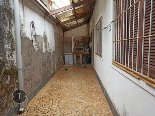Imagem 3 de 18 de Casa 03 Dormitórios - Ca00594 - 69289255