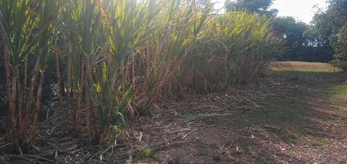 Imagem 4 de 14 de Chacara Em Atibaia!