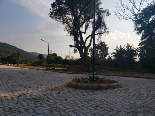 Imagem 4 de 10 de Lotes De 200m² Na Guarda Do Cubatão, Pagamento Facilitado.